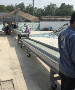 Băng tải cao su tải kính