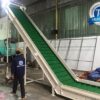 Băng tải cấp liệu PVC gân bèo