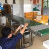 Băng tải PVC tải khay trứng