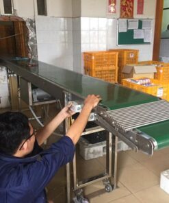 Băng tải PVC tải khay trứng
