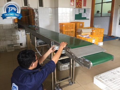 Băng tải PVC tải khay trứng