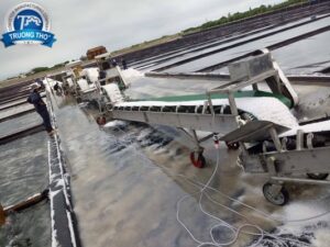 băng tải PVC lòng máng