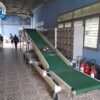 Băng tải pvc nâng hạ di động